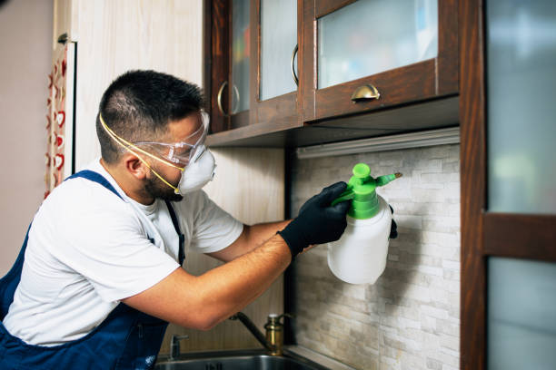 Trusted West Milton, OH Pest Control Experts
