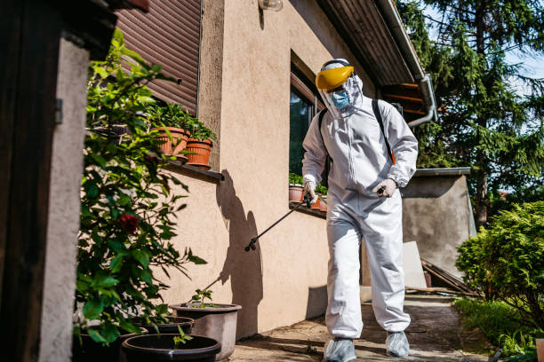 Best Affordable Pest Control Services  in West Milton, OH
