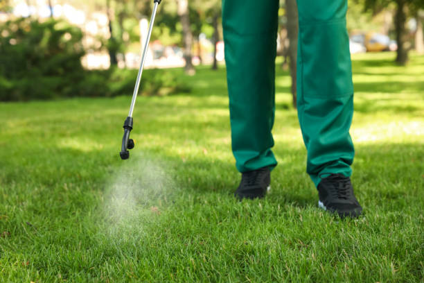 Best Local Pest Control Services  in West Milton, OH