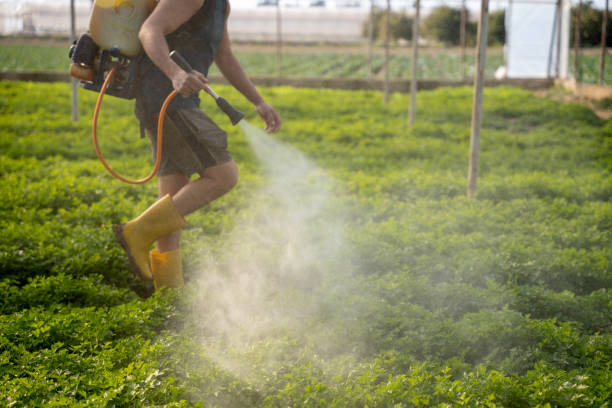 Best Residential Pest Control  in West Milton, OH