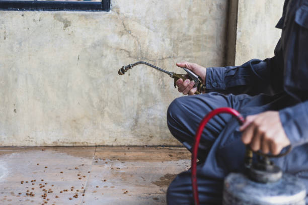 Best Mosquito Control Services  in West Milton, OH
